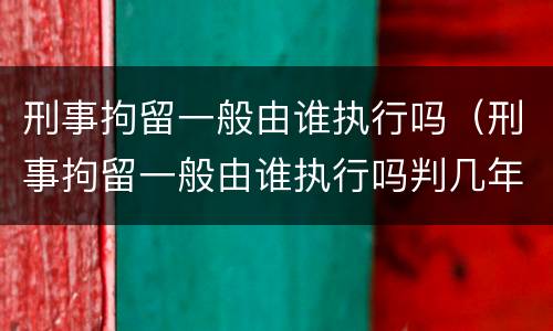 刑事拘留一般由谁执行吗（刑事拘留一般由谁执行吗判几年）