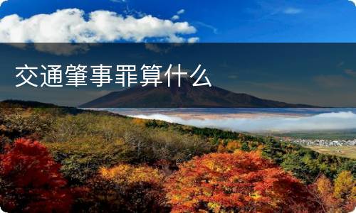 交通肇事罪算什么
