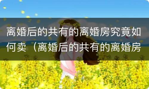离婚后的共有的离婚房究竟如何卖（离婚后的共有的离婚房究竟如何卖给对方）