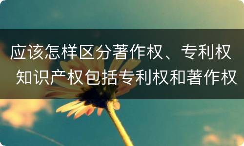 应该怎样区分著作权、专利权 知识产权包括专利权和著作权吗