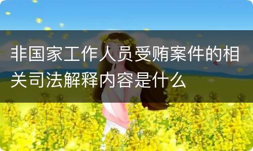 非国家工作人员受贿案件的相关司法解释内容是什么