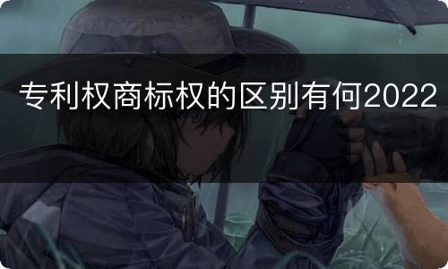 专利权商标权的区别有何2022