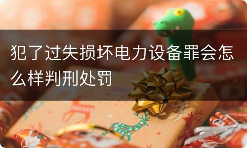 犯了过失损坏电力设备罪会怎么样判刑处罚