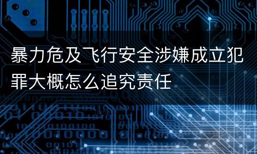 暴力危及飞行安全涉嫌成立犯罪大概怎么追究责任