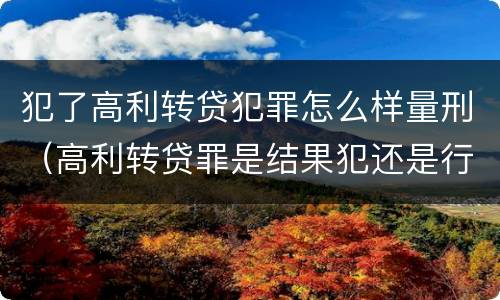 犯了高利转贷犯罪怎么样量刑（高利转贷罪是结果犯还是行为犯）
