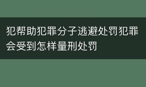犯帮助犯罪分子逃避处罚犯罪会受到怎样量刑处罚