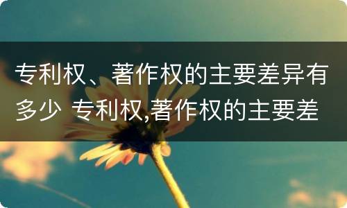 专利权、著作权的主要差异有多少 专利权,著作权的主要差异有多少种