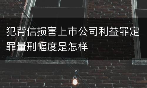 犯背信损害上市公司利益罪定罪量刑幅度是怎样
