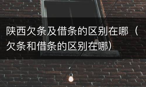 陕西欠条及借条的区别在哪（欠条和借条的区别在哪）