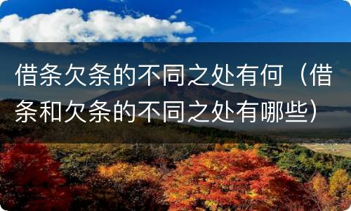 借条欠条的不同之处有何（借条和欠条的不同之处有哪些）