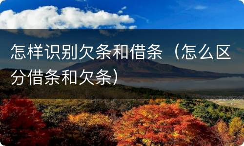 怎样识别欠条和借条（怎么区分借条和欠条）