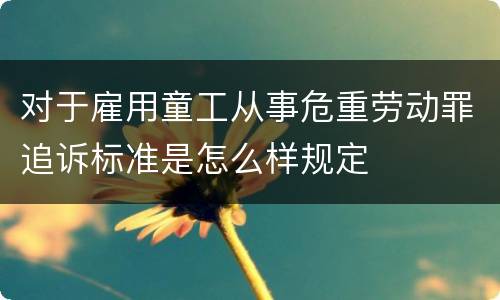 对于雇用童工从事危重劳动罪追诉标准是怎么样规定