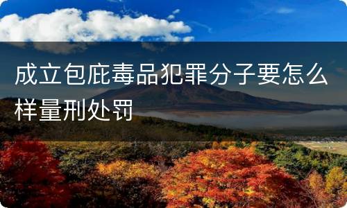 成立包庇毒品犯罪分子要怎么样量刑处罚