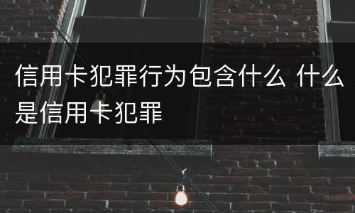 信用卡犯罪行为包含什么 什么是信用卡犯罪