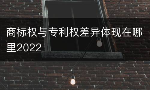 商标权与专利权差异体现在哪里2022