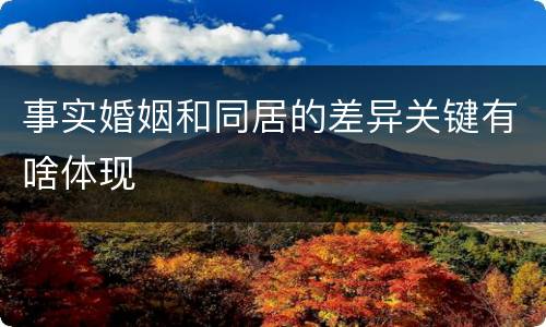 事实婚姻和同居的差异关键有啥体现