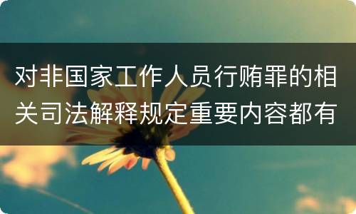 对非国家工作人员行贿罪的相关司法解释规定重要内容都有哪些