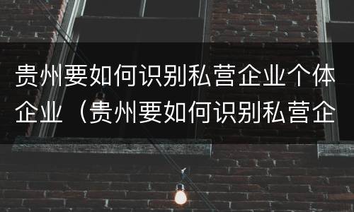 贵州要如何识别私营企业个体企业（贵州要如何识别私营企业个体企业名录）