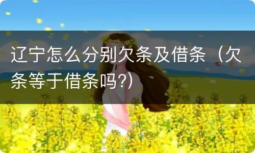 辽宁怎么分别欠条及借条（欠条等于借条吗?）