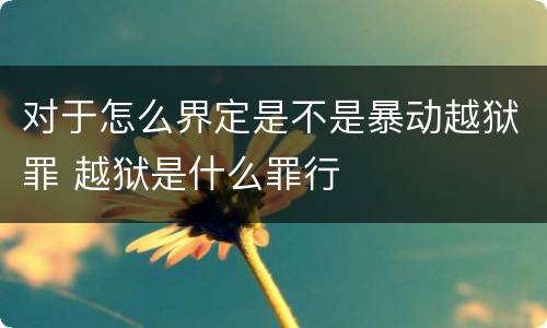 对于怎么界定是不是暴动越狱罪 越狱是什么罪行