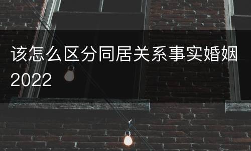 该怎么区分同居关系事实婚姻2022
