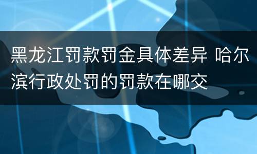 黑龙江罚款罚金具体差异 哈尔滨行政处罚的罚款在哪交