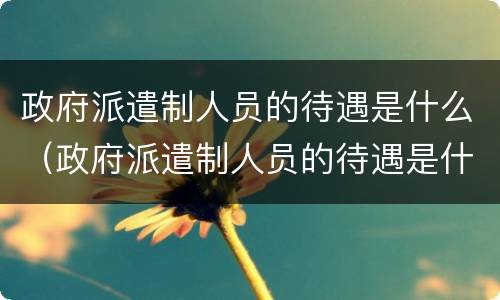 政府派遣制人员的待遇是什么（政府派遣制人员的待遇是什么样的）