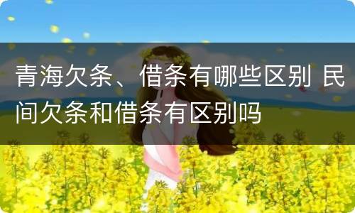 青海欠条、借条有哪些区别 民间欠条和借条有区别吗
