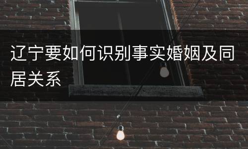 辽宁要如何识别事实婚姻及同居关系
