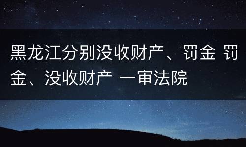 黑龙江分别没收财产、罚金 罚金、没收财产 一审法院