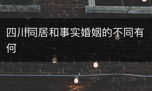 四川同居和事实婚姻的不同有何