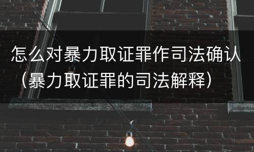 怎么对暴力取证罪作司法确认（暴力取证罪的司法解释）