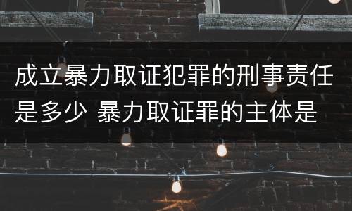 成立暴力取证犯罪的刑事责任是多少 暴力取证罪的主体是