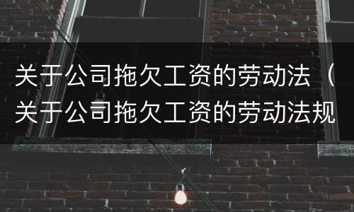 关于公司拖欠工资的劳动法（关于公司拖欠工资的劳动法规定）