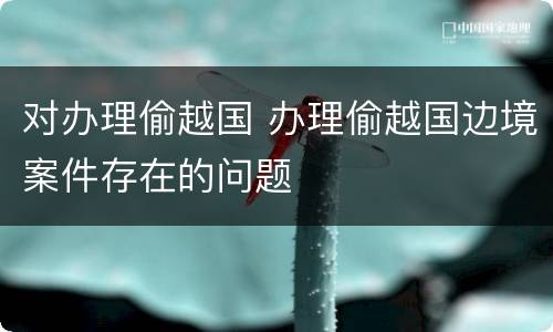 对办理偷越国 办理偷越国边境案件存在的问题