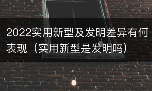 2022实用新型及发明差异有何表现（实用新型是发明吗）