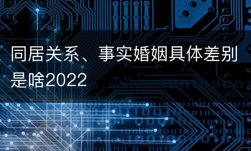 同居关系、事实婚姻具体差别是啥2022