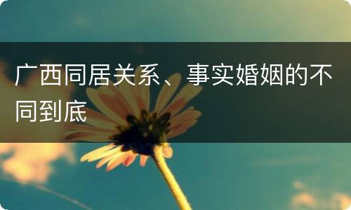 广西同居关系、事实婚姻的不同到底