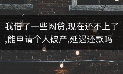 我借了一些网贷,现在还不上了,能申请个人破产,延迟还款吗
