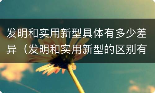 发明和实用新型具体有多少差异（发明和实用新型的区别有）