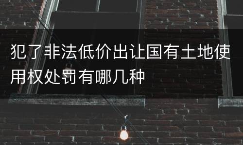 犯了非法低价出让国有土地使用权处罚有哪几种