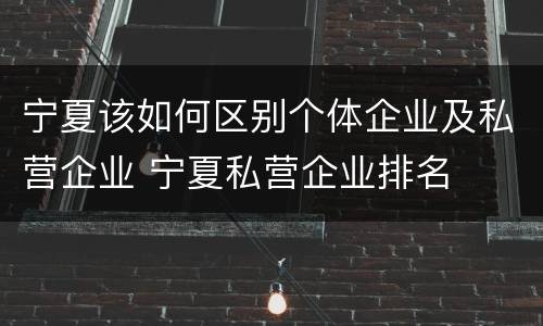 宁夏该如何区别个体企业及私营企业 宁夏私营企业排名
