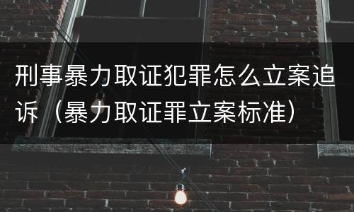 刑事暴力取证犯罪怎么立案追诉（暴力取证罪立案标准）