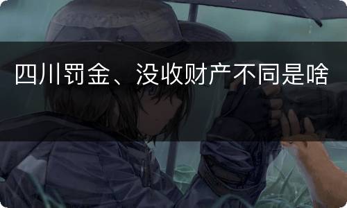 四川罚金、没收财产不同是啥