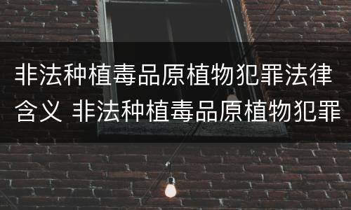 非法种植毒品原植物犯罪法律含义 非法种植毒品原植物犯罪法律含义是什么