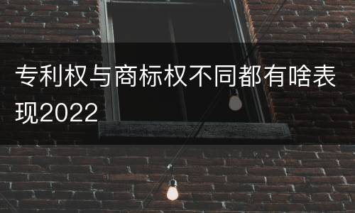 专利权与商标权不同都有啥表现2022
