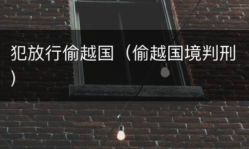 犯放行偷越国（偷越国境判刑）