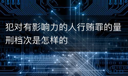 犯对有影响力的人行贿罪的量刑档次是怎样的