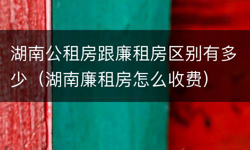 湖南公租房跟廉租房区别有多少（湖南廉租房怎么收费）