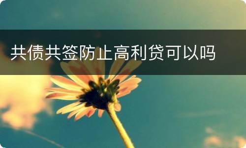 共债共签防止高利贷可以吗